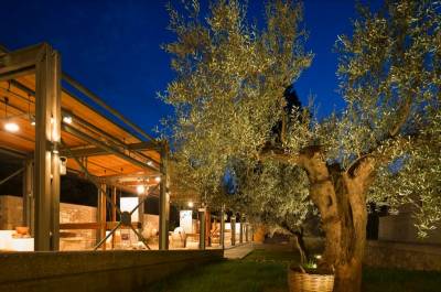 Σπάρτη: «Σμύρνης σκιές…» στο Μουσείο Ελιάς και Ελληνικού Λαδιού