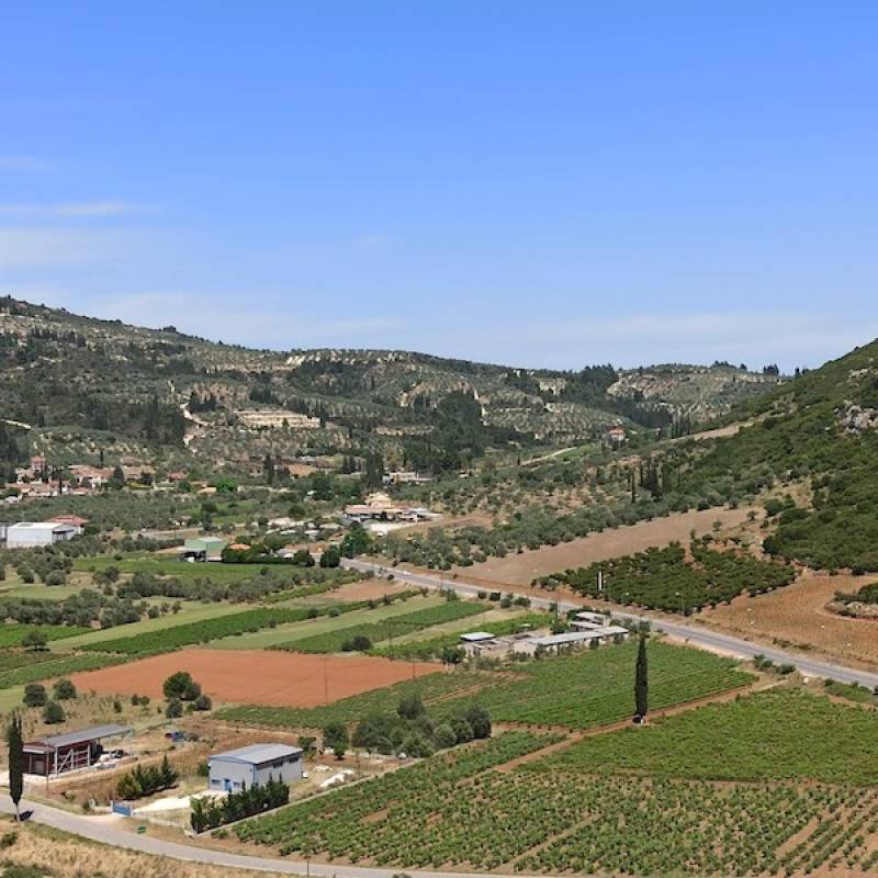 Η κατακερματισμένη αγορά της Πελοποννήσου