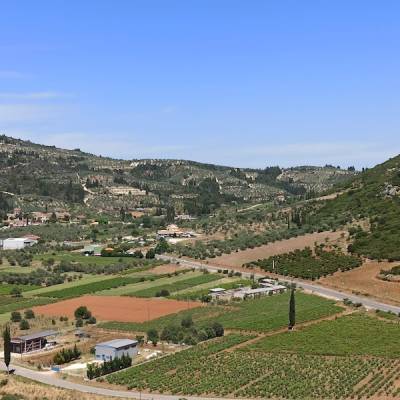 Η κατακερματισμένη αγορά της Πελοποννήσου
