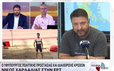 Χαρδαλιάς για φωτιές: Οι δύσκολες ημέρες ξεκινούν μετά τον καύσωνα (βίντεο)