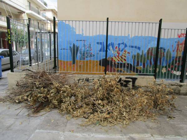 Γεμίσαμε κλαδέματα