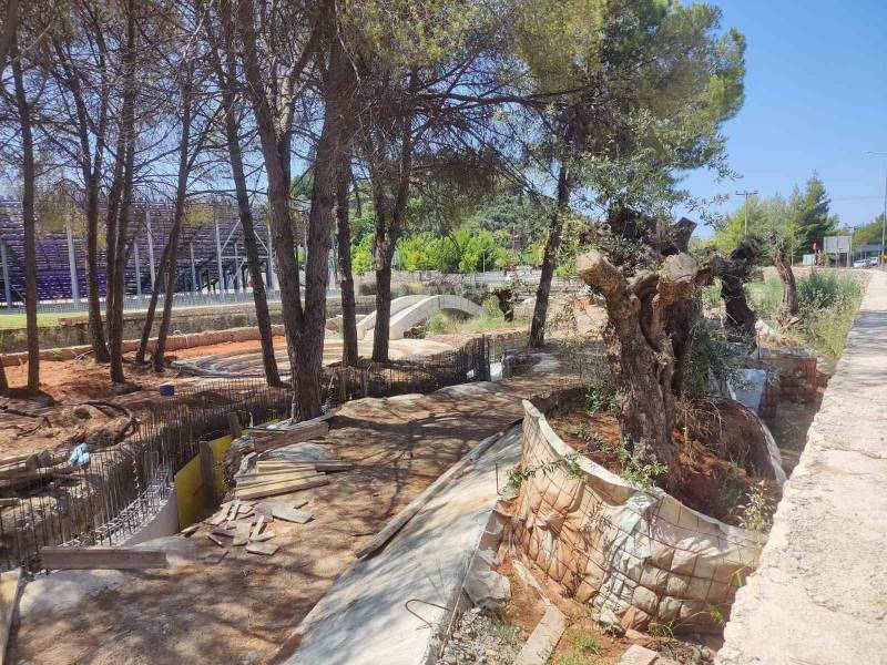 Καλαμάτα: «Πράσινο» για συνέχιση του υπαίθριου Πάρκου Ελιάς - Ματαιώνεται η διάλυση της σύμβασης