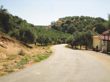 Της Αρτας το γιοφύρι στο... Βελίκα - Νιοχώρι