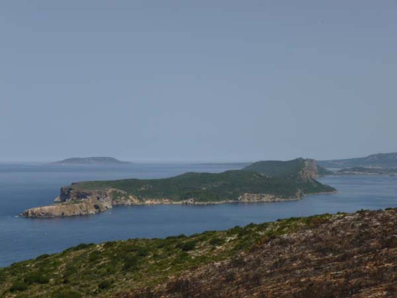 Τουριστική ιστοσελίδα του Δήμου Πύλου - Νέστορος