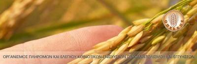 Οι μακροχρόνιες επιπτώσεις του σκανδάλου του ΟΠΕΚΕΠΕ