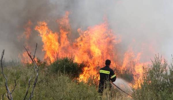 Πυρκαγία στο Μαλανδρένι Αργολίδας