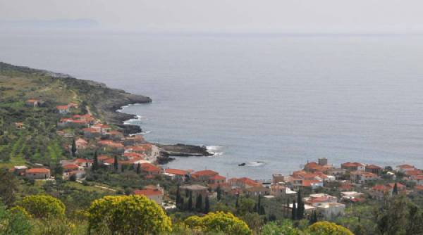 Επιχείρηση αρπαγής περιουσιών μέσω δασικών χαρτών. Ζούμε σε μια χώρα – δάσος αλλά… χωρίς δένδρα!