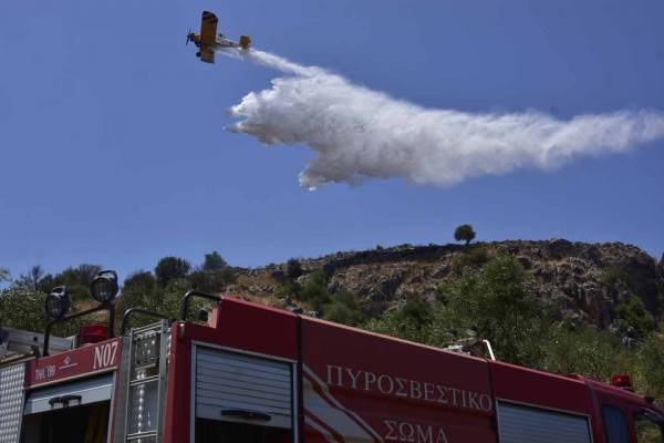 5 στρέμματα έκαψε η πυρκαγιά στον Ακοβο Μεγαλόπολης