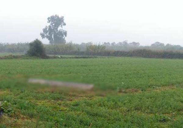 “Χέρι” στις επιδοτήσεις των μεγαλοοφειλετών σχεδιάζει ο ΓΟΕΒ Παμίσου