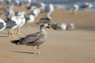 Τι λένε τα ζώδια σήμερα (27/9)
