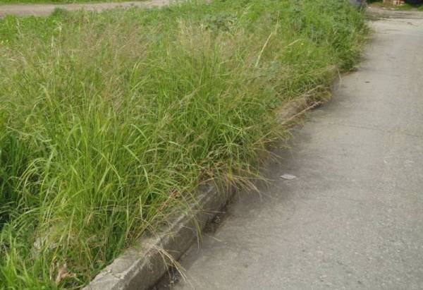 Δήμος Οιχαλίας: Παράταση προθεσμίας καθαρισμού οικοπέδων