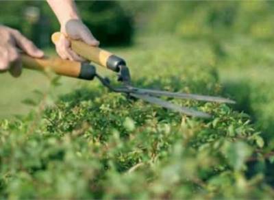 77 προσλήψεις με οκτάμηνη σύμβαση στο Δήμο Τριφυλίας