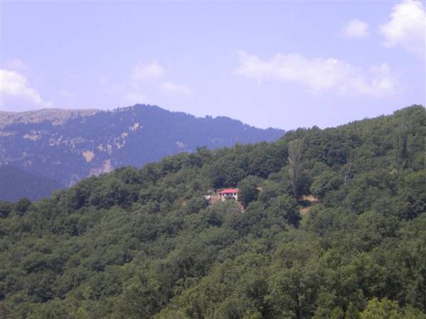 Επιστημονική εκδήλωση για το Δασικό Δίκαιο