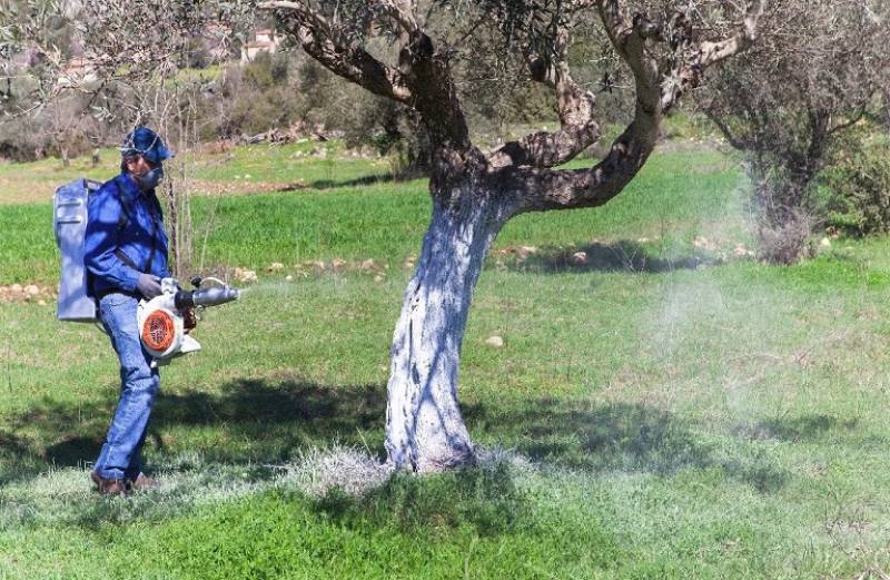 Μεσσηνία: Το πρόγραμμα δακοκτονίας για την Παρασκευή 9/9