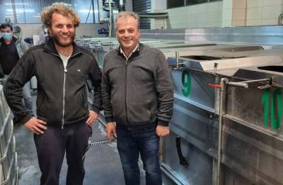 Ο Καρβέλας για την Παγκόσμια Ημέρα της Ελιάς