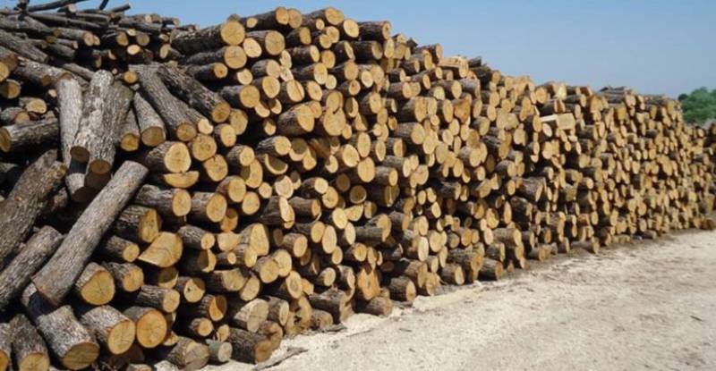 Μπαίνει πλαφόν σε καυσόξυλα και πέλλετ: Πρόστιμα για τους παραβάτες (Βίντεο)