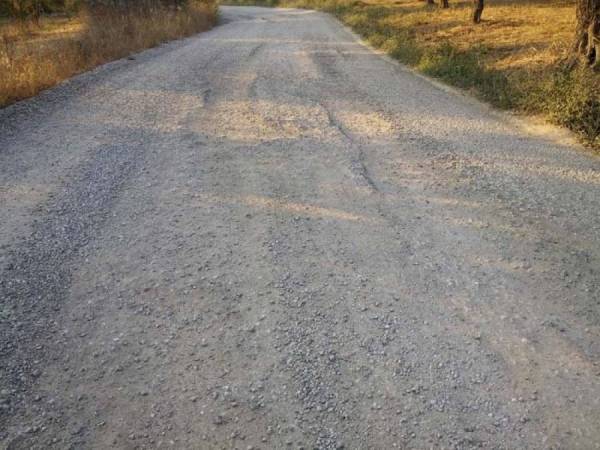 Εικόνα εγκατάλειψης σε όλη την Πελοπόννησο