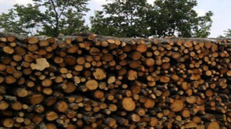 ΥΠΑΝ: Ξεκινούν οι δηλώσεις αποθεμάτων στερεών καυσίμων