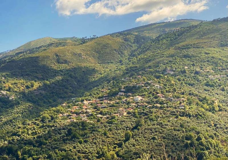 Κοινοτικός αμπελώνας δημιουργείται στην Αλαγονία