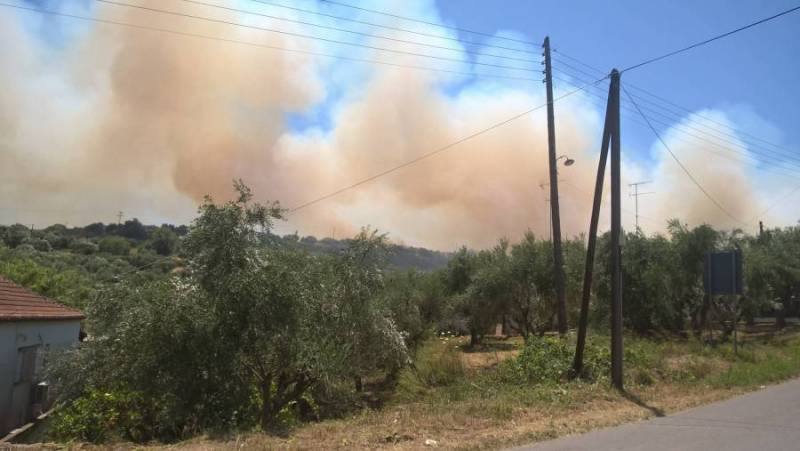 Αποζημίωση πυρόπληκτων της Κορώνης ζητεί ο Πετράκος