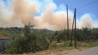 Αποζημίωση πυρόπληκτων της Κορώνης ζητεί ο Πετράκος