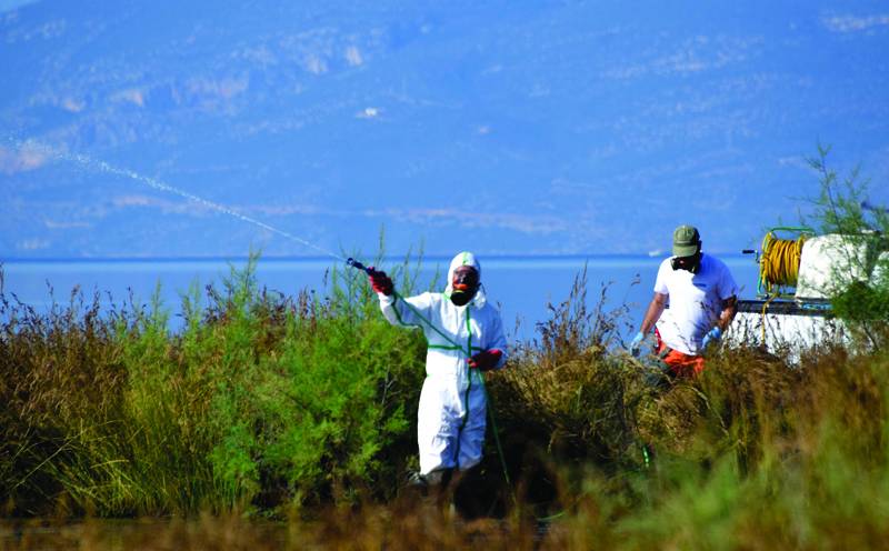Δημοπρασία στην Αναπτυξιακή Μεσσηνίας για την καταπολέμηση των κουνουπιών