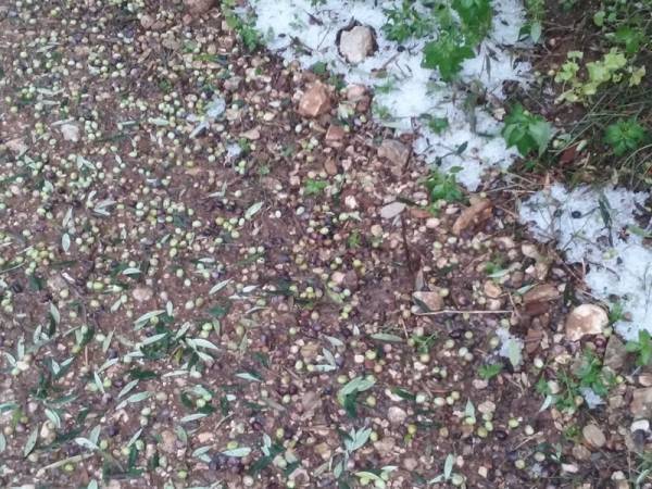 Ζημιές από χαλάζι σε Χώρα και Βλαχόπουλο