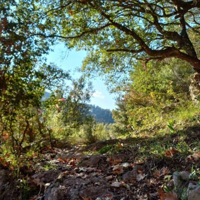 Το Σελλά ιδανικός προορισμός για πεζοπορία