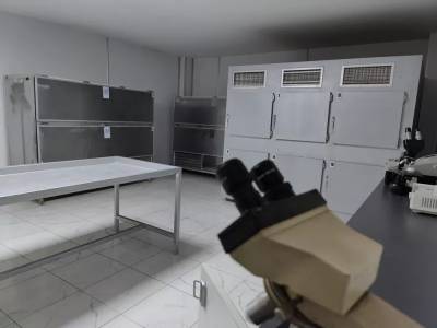 Ανοίγουν ξανά τέσσερις φάκελοι υποθέσεων της Ιατροδικαστικής Πάτρας – Μεταξύ τους ο ύποπτος θάνατος βρέφους 2,5 μηνών (Βίντεο)