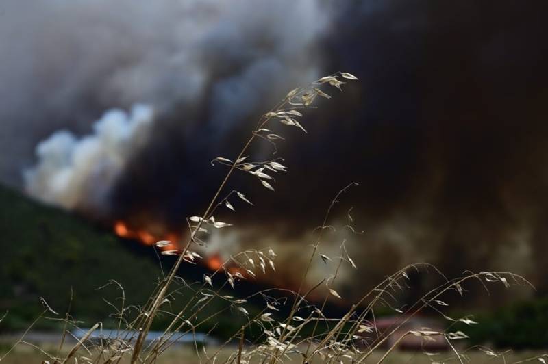 Θ. Γιάνναρος, πυρομετεωρολόγος: Τα δύσκολα είναι μπροστά μας – Η επικινδυνότητα θα είναι πολύ υψηλή το Σαββατοκύριακο