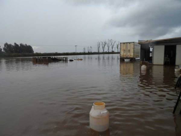 Καταστράφηκε κτηνοτροφική μονάδα στο Ασπρόχωμα
