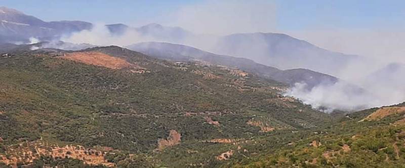 Σύλλογος Δασοχωριτών Μεσσηνίας: Ζητεί ενημέρωση για τις δράσεις αντιμετώπισης κινδύνου πυρκαγιών