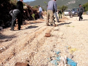 Φύτεψαν δέντρα στη θέση σκουπιδομηχανής