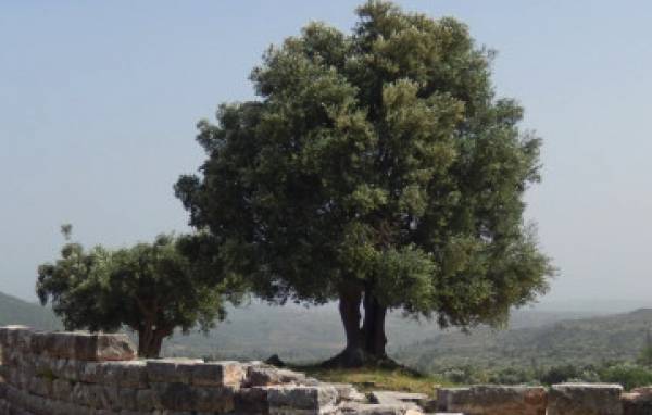 Αρθρο μαθητών των εκπαιδευτηρίων Μπουγά στην "Huffington Post"