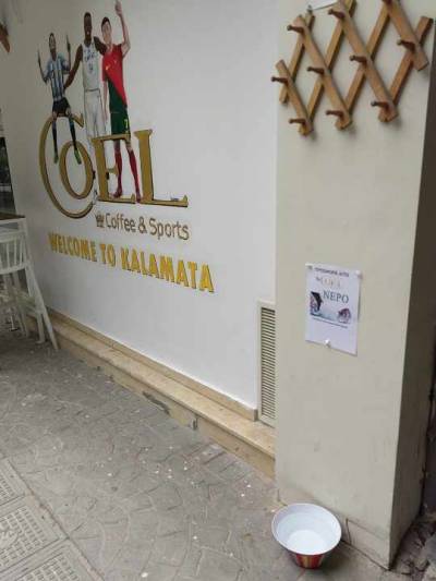 Νερό για αδέσποτα ζώα...