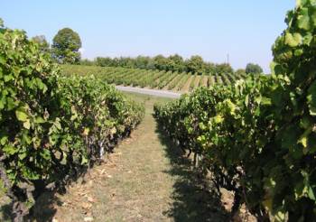 Εκθεση αγροτουρισμού τα Σαββατοκύριακα στην Επίδαυρο έως 2 Αυγούστου