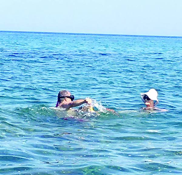 Λουόμενοι έσωσαν θαλάσσια χελώνα στην Κυπαρισσία