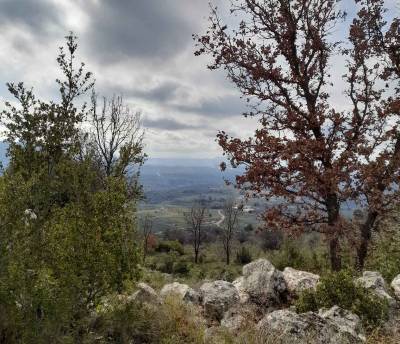 Εξόρμηση του “Ευκλή” στην Δυτική Μεσσηνία