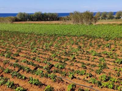 Οι νέες υποχρεώσεις πολλαπλής συμμόρφωσης για επιδοτήσεις