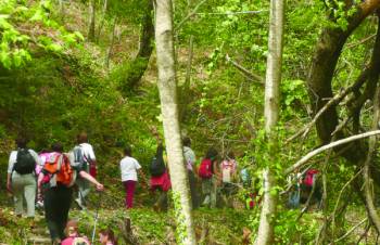 Ανοιξιάτικο Σχολείο της Φύσης στον Ταΰγετο