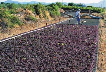 Νέο συμβούλιο στο εργοστάσιο της ΣΚΟΣ