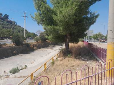 Καλαμάτα: Παραμένει η εικόνα εγκατάλειψης στον Νέδοντα