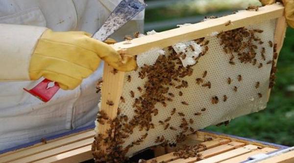 Σεμινάρια σε αγροτικά θέματα