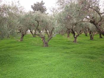 1,1 εκατ, ευρώ σε συνεταιρισμούς της Μεσσηνίας