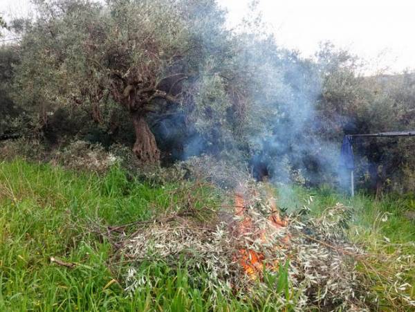 Οδηγίες της Πυροσβεστικής για το κάψιμο των κλαδιών