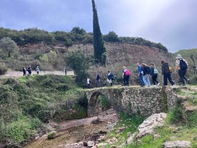 Μεσσηνία: 25 εκπαιδευτικοί στο σεμινάριο «Οι θησαυροί της γης μας»
