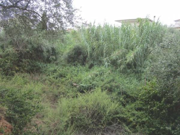 Ακαθάριστο και μπαζωμένο ρέμα στο Φραγκοπήγαδο