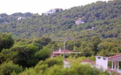Η &quot;Λαϊκή Συσπείρωση&quot; για τους δασικούς χάρτες της Μεσσηνίας
