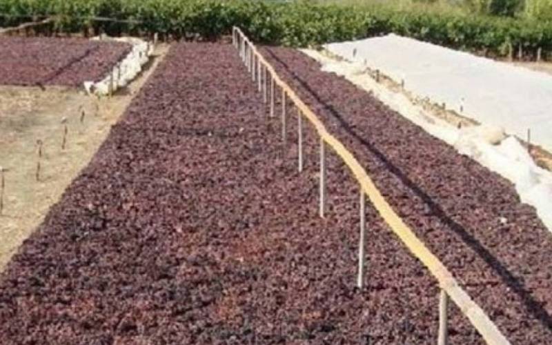 Ερώτηση Χαρίτση για κορινθιακή σταφίδα