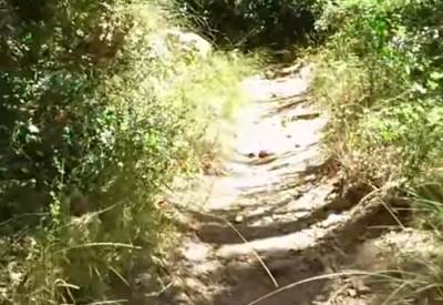 Προγραμματική σύμβαση για τα μονοπάτια της Νέδας